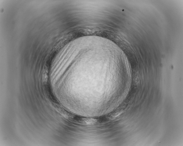 X0000087350226200705111628