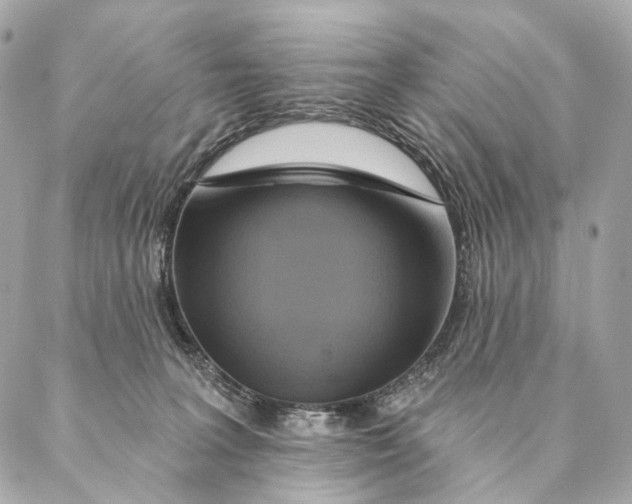 X0000087350227200705111628