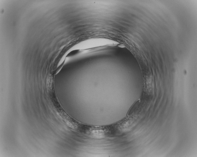 X0000087350228200705111628