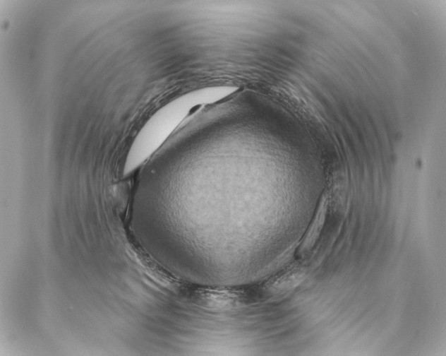 X0000087350229200705111628