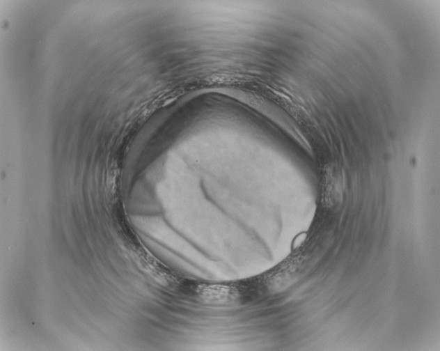 X0000087350230200705111628