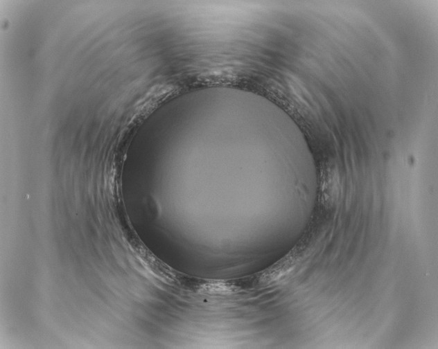 X0000087350231200705111628