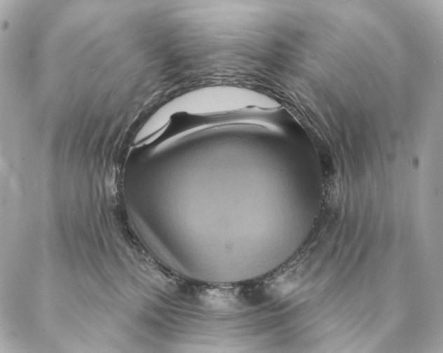 X0000087350232200705111628