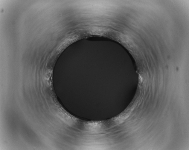 X0000087350237200705111628