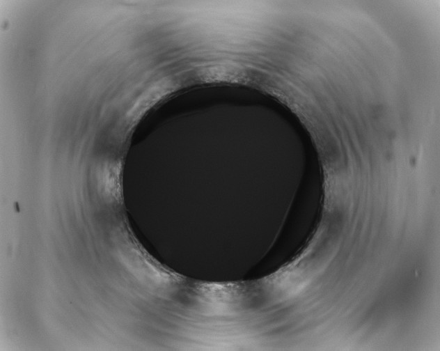 X0000087350239200705111628