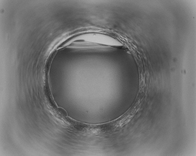 X0000087350247200705111627