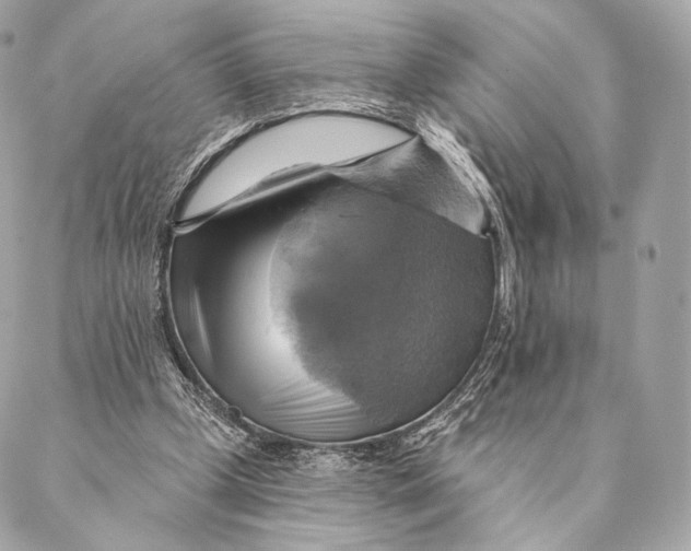 X0000087350249200705111627