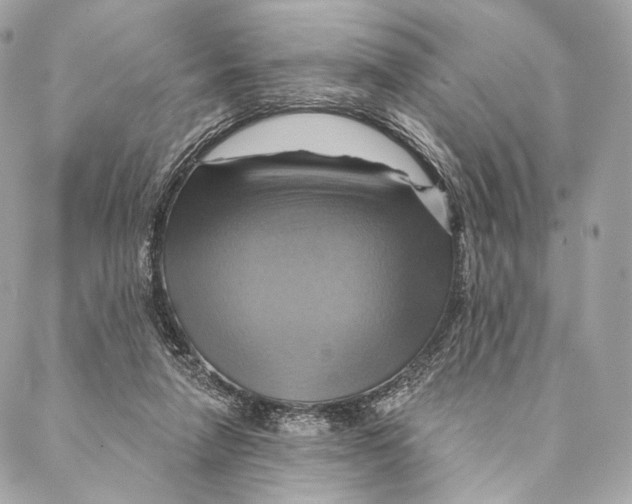 X0000087350258200705111627
