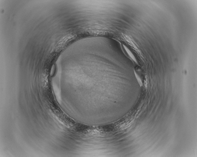 X0000087350259200705111627