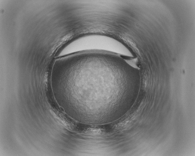 X0000087350260200705111627