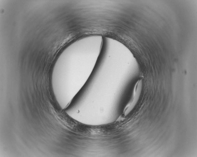 X0000087350264200705111627