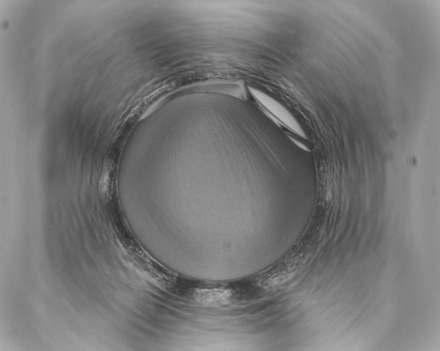 X0000087350266200705111627