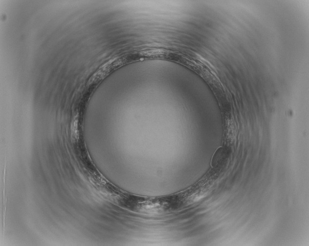 X0000087350267200705111627