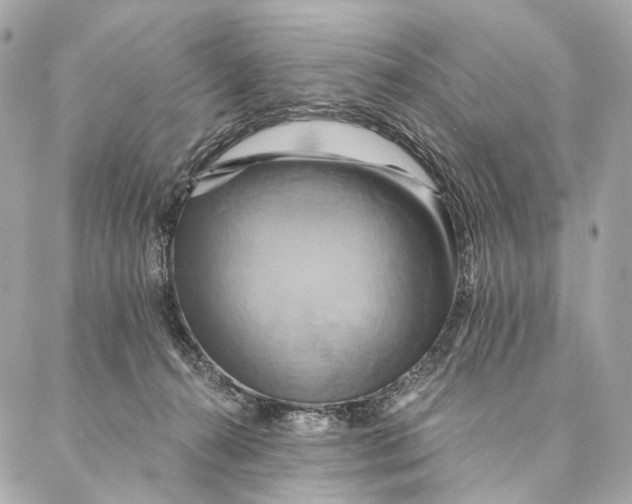 X0000087350272200705111627