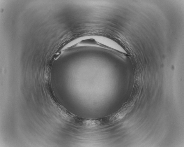 X0000087350277200705111627