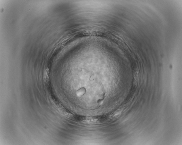 X0000087350278200705111627