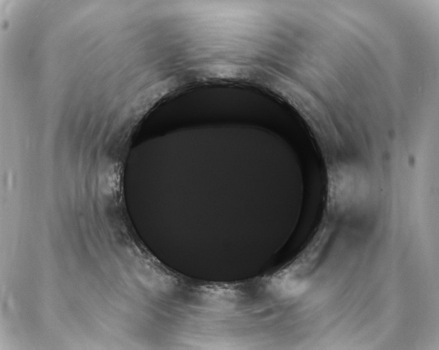X0000087350284200705111627