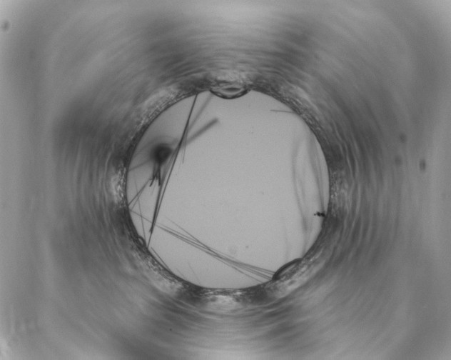 X0000087350285200705111627