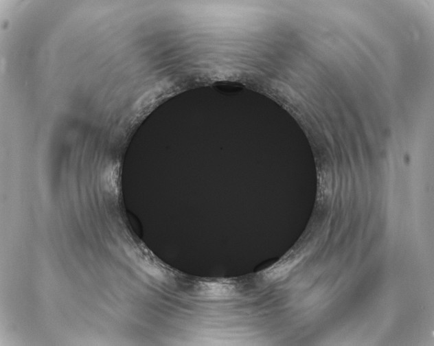 X0000087350286200705111627