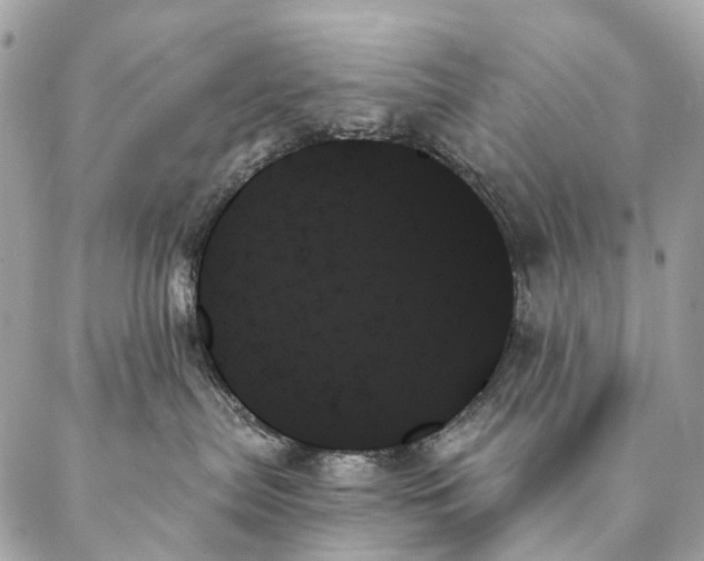 X0000087350287200705111627