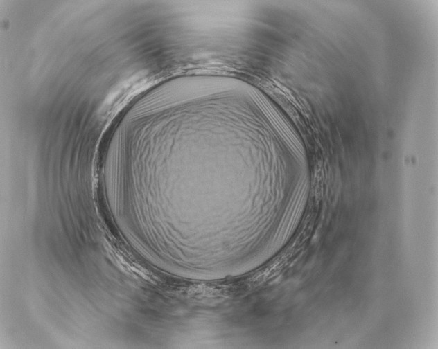 X0000087350290200705111627