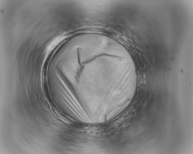 X0000087350294200705111627