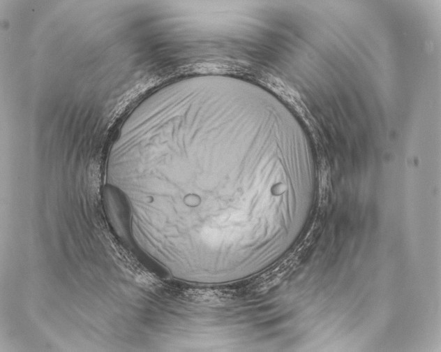 X0000087350297200705111627