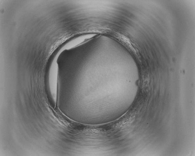 X0000087350299200705111627