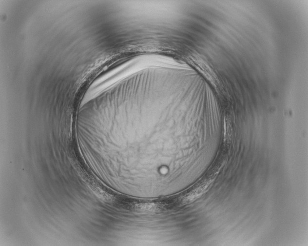 X0000087350301200705111626