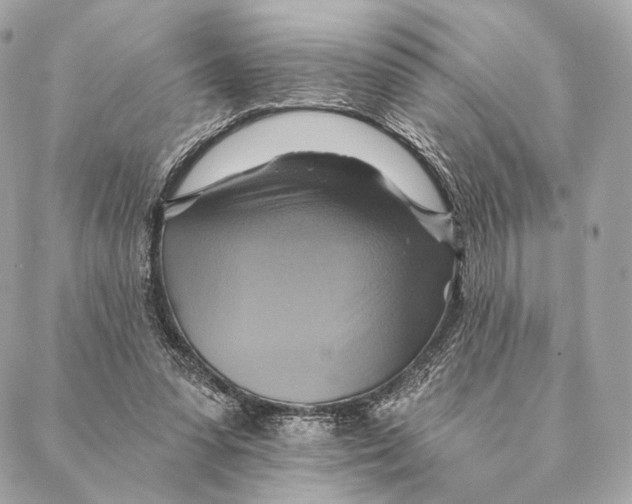 X0000087350303200705111626
