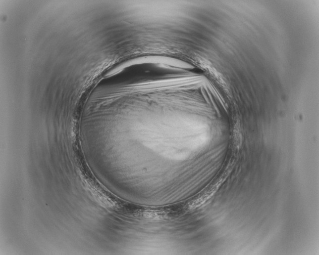 X0000087350305200705111626