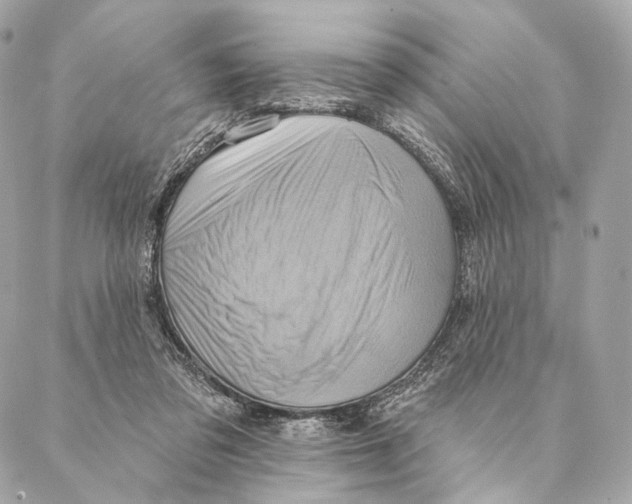 X0000087350309200705111626