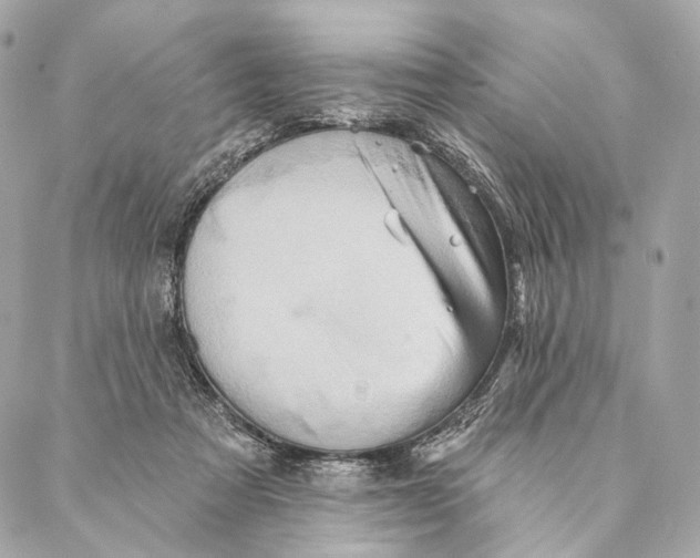 X0000087350313200705111626