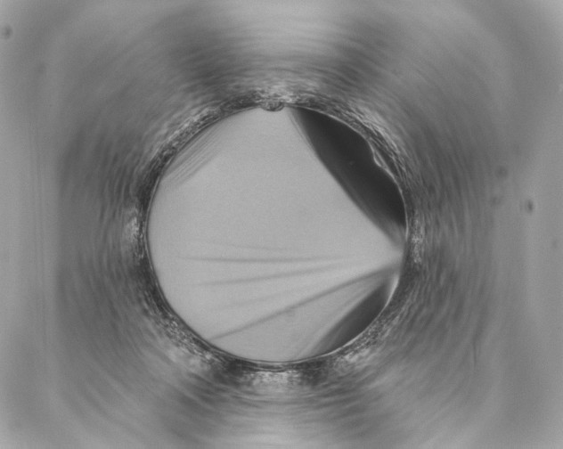 X0000087350314200705111626