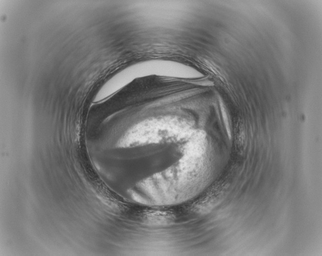 X0000087350315200705111626