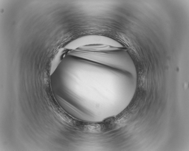 X0000087350317200705111626