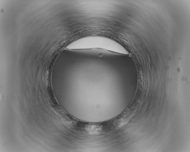 X0000087350319200705111626