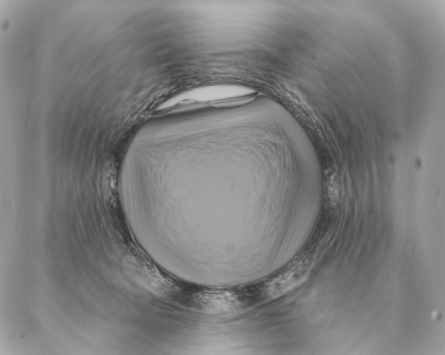 X0000087350322200705111626