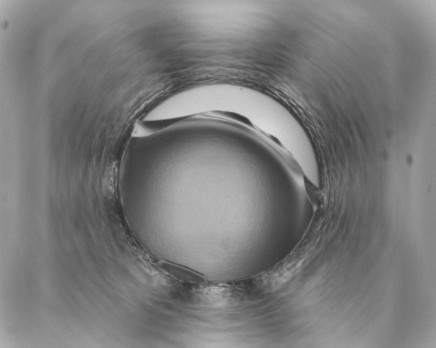 X0000087350325200705111626