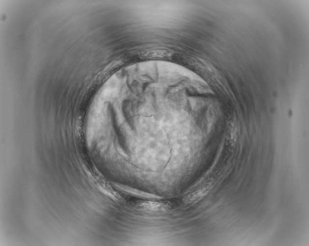 X0000087350326200705111626