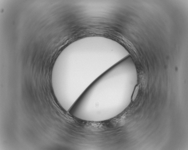 X0000087350329200705111626