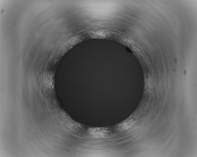 X0000087350331200705111626