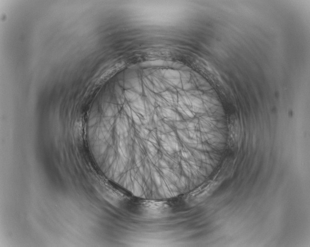 X0000087350333200705111626