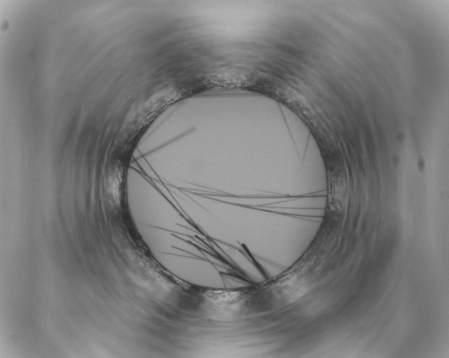 X0000087350334200705111626