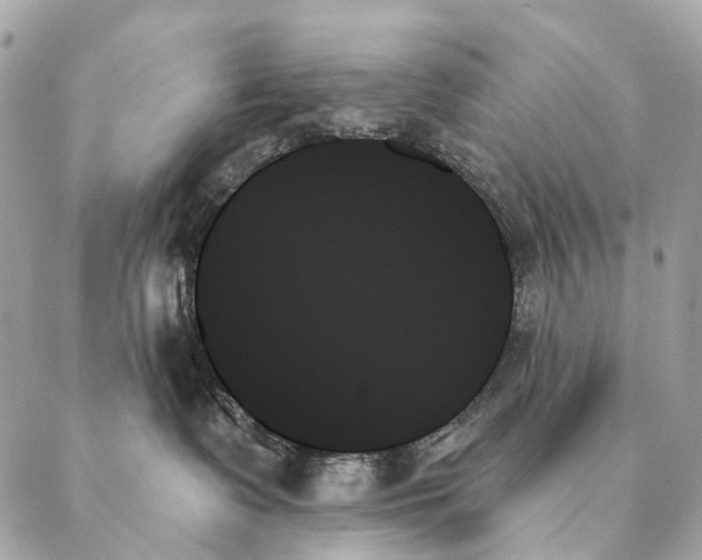 X0000087350335200705111626