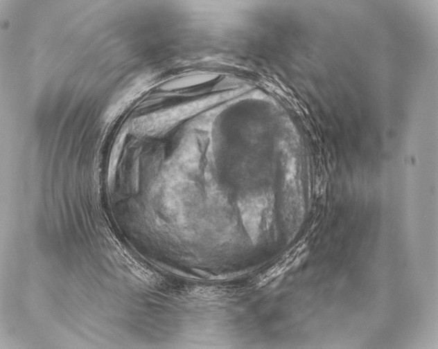 X0000087350341200705111625