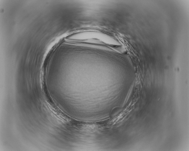 X0000087350342200705111625
