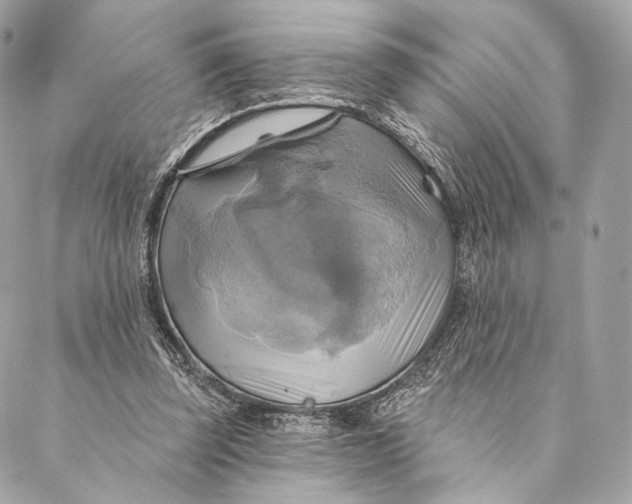 X0000087350347200705111625