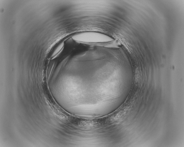 X0000087350351200705111625