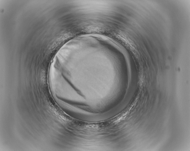 X0000087350353200705111625